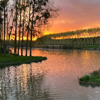 img_8156